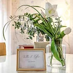 Il Tiglio - Dei Marmi Forte dei Marmi